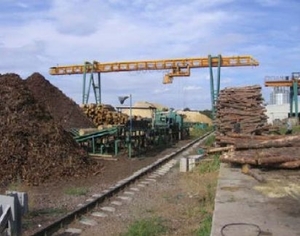 Продается деревообрабатывающий комплекс + производство пеллет  грн.0